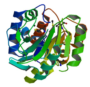 Enzyme Activity Measurement for Sugar-Phosphatase